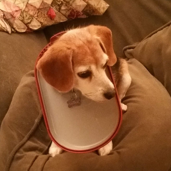 Meet your Posher, Amanda - Picture 2 of 3